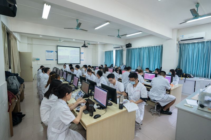 形态学数字资源教学。
供图