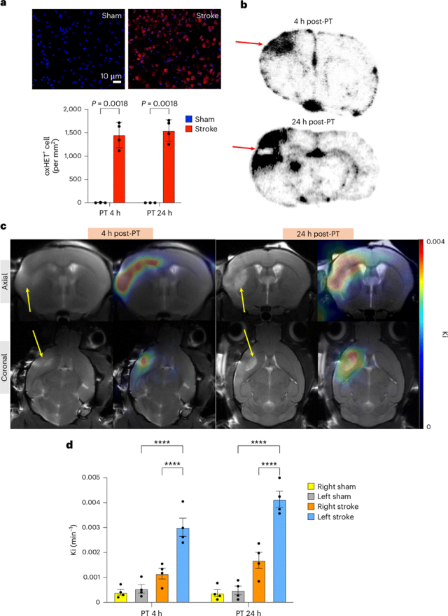 Fig. 4